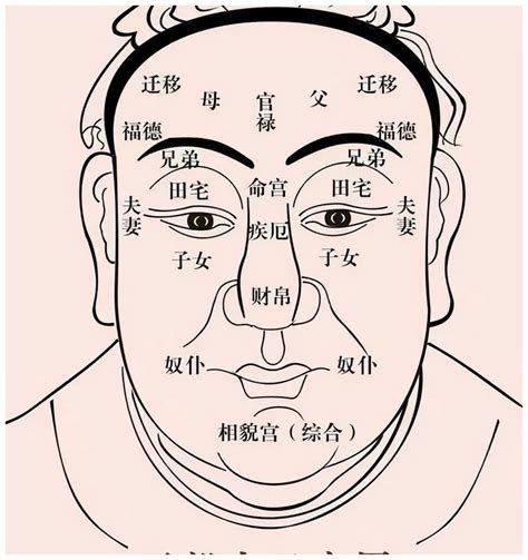 川字紋面相|川字纹